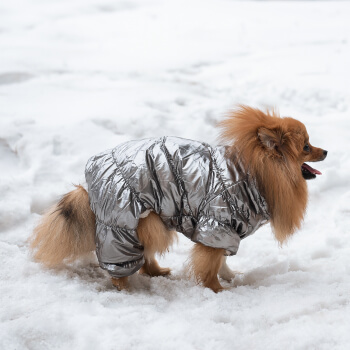 Зимний комбинезон для собак Cody Silver L-5