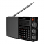 Цифровой всеволновый радиоприемник Tecsun PL-880-1